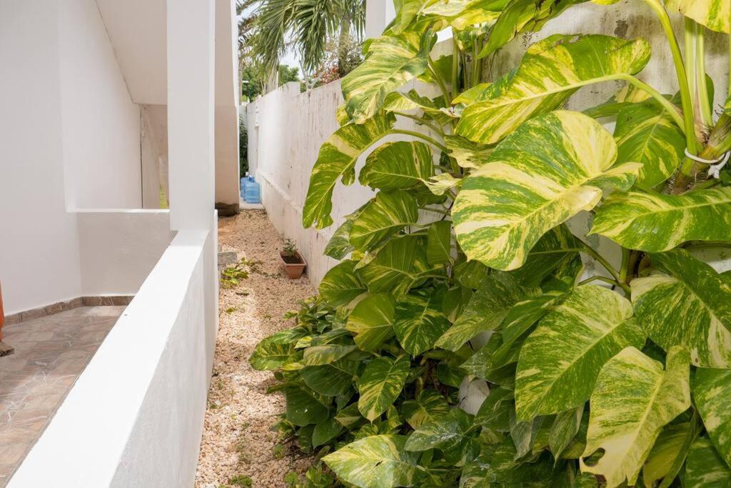 Villa Caribe Bayahibe Dış mekan fotoğraf