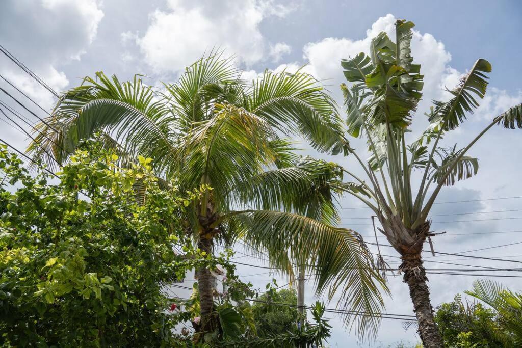 Villa Caribe Bayahibe Dış mekan fotoğraf