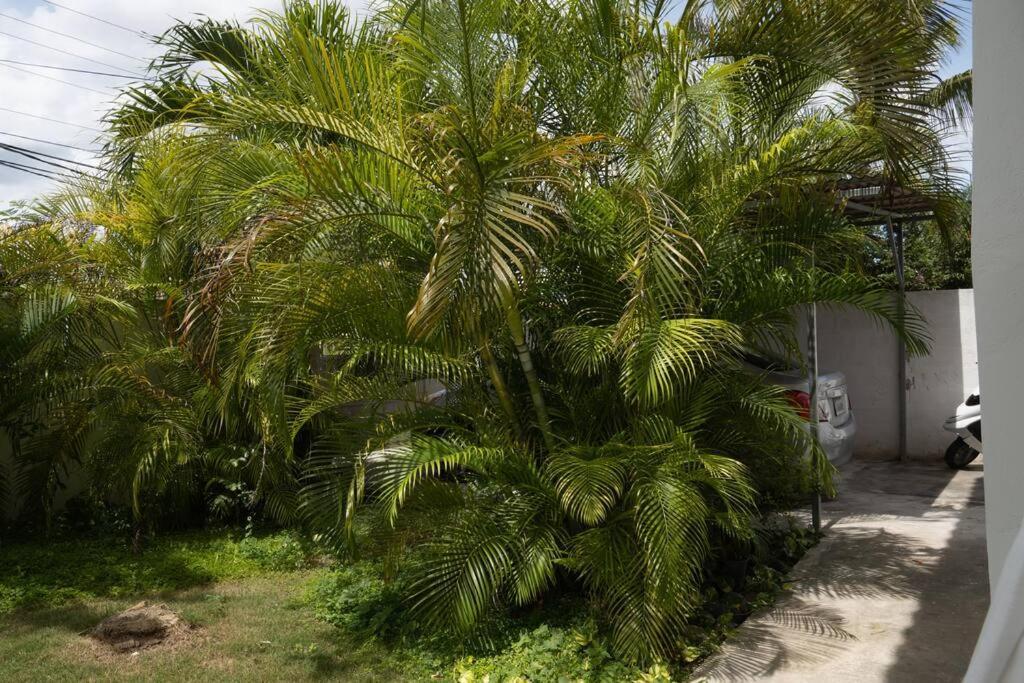 Villa Caribe Bayahibe Dış mekan fotoğraf