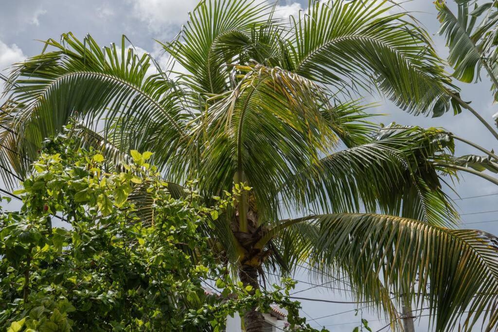 Villa Caribe Bayahibe Dış mekan fotoğraf